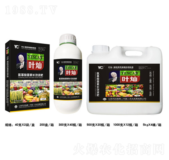 氨基酸菌素長效液肥-葉燦-德化