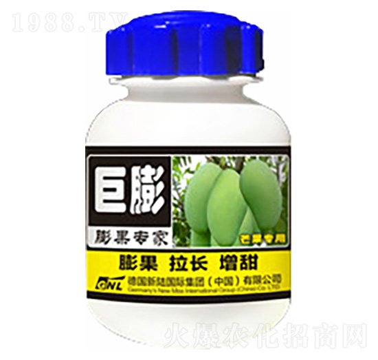 芒果膨果專家-巨膨-德化