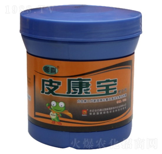 Ƥ�������τ�-���Z�S