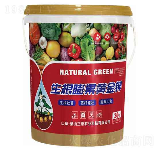 生根膨果黃金鉀-正陽