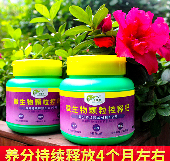 微生物顆?？蒯尫?花懂得