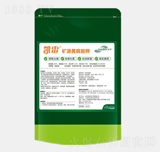 �VԴ�S�����-�P��-��������