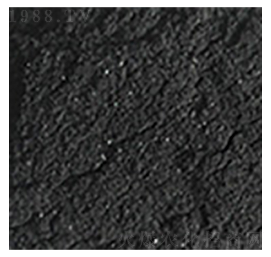 腐植酸腐納-深奧科技