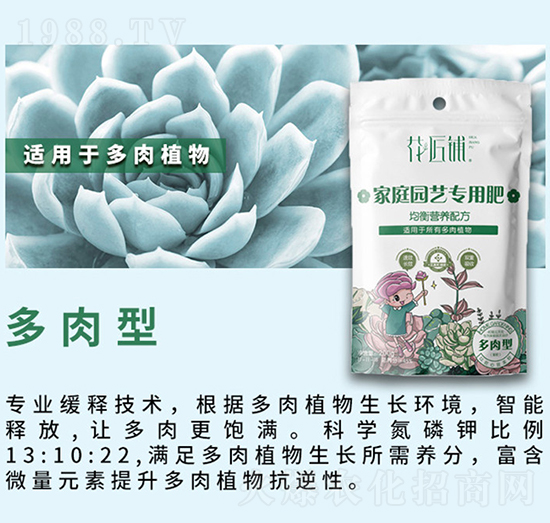 多肉型家庭園藝專(zhuān)用肥-花匠鋪-百鎂