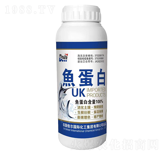 �M���~����-Ӣ������-�տ���