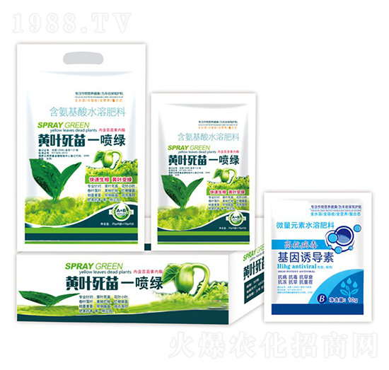 黃葉死苗一噴綠+基因誘導(dǎo)素-沃迪久