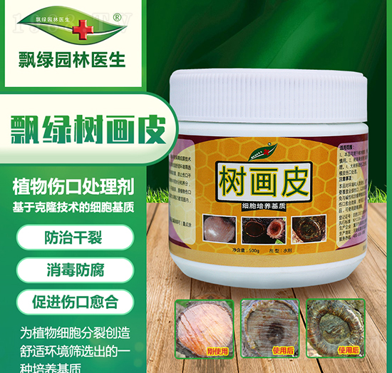 樹(shù)畫(huà)皮-飄綠