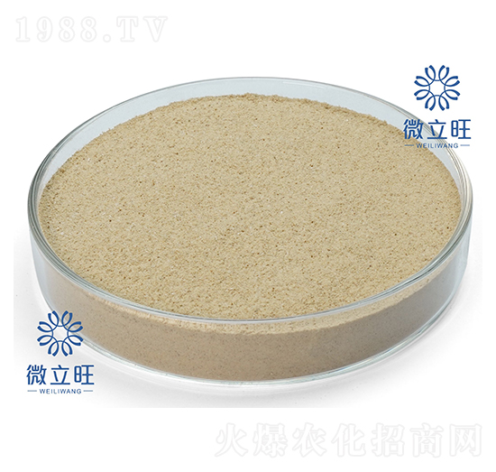 防治線蟲功能菌-微立旺