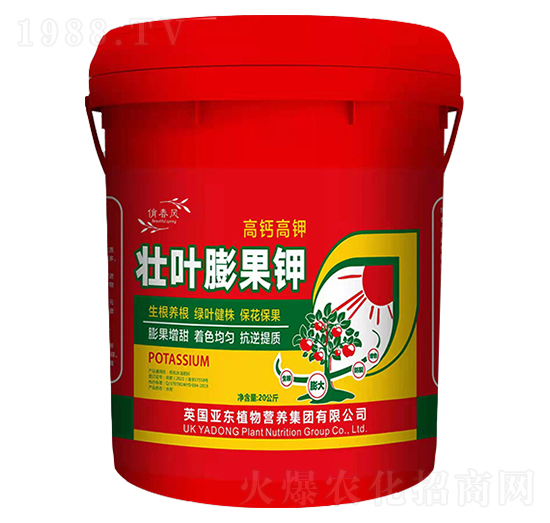 ���~����-��?w��n)|����