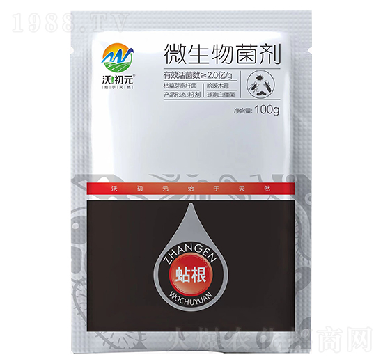 �t��-�ֳ�Ԫ-�֠���(y��u)