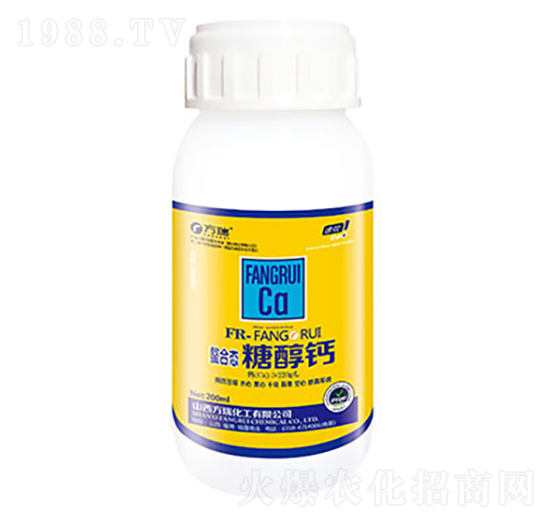 ���ϑB(t��i)�Ǵ��}-����