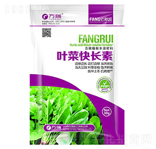 �~�˿��L(zh��ng)��-����