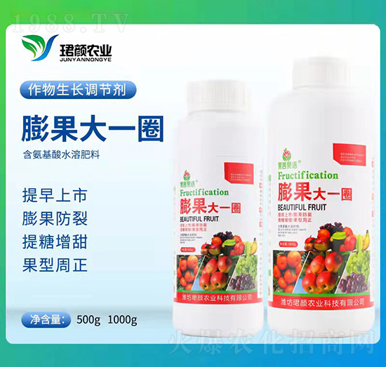 膨果大一圈-珺顏農業(yè)