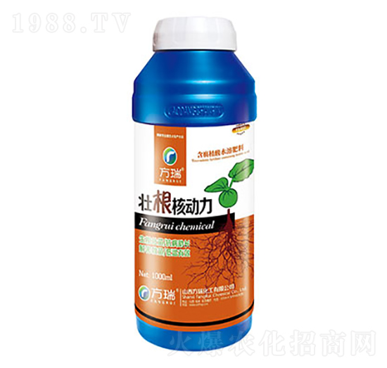 壯根核動(dòng)力-方瑞