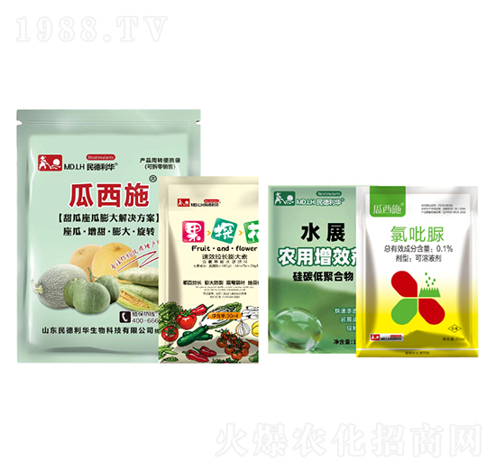 甜瓜座瓜膨大解決方案-民德利華