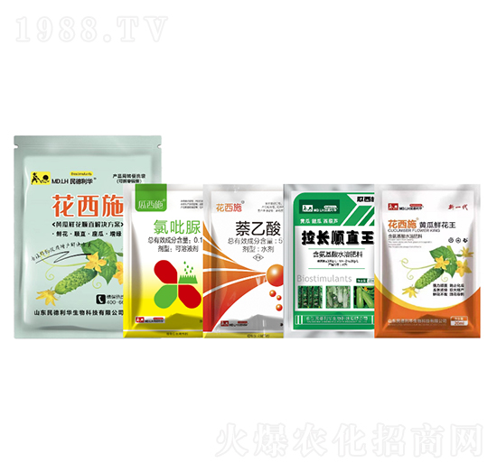 黃瓜鮮花順直解決方案-民德利華