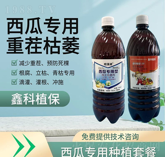 �����ز��ή�����ײ�-�ο�ֲ��