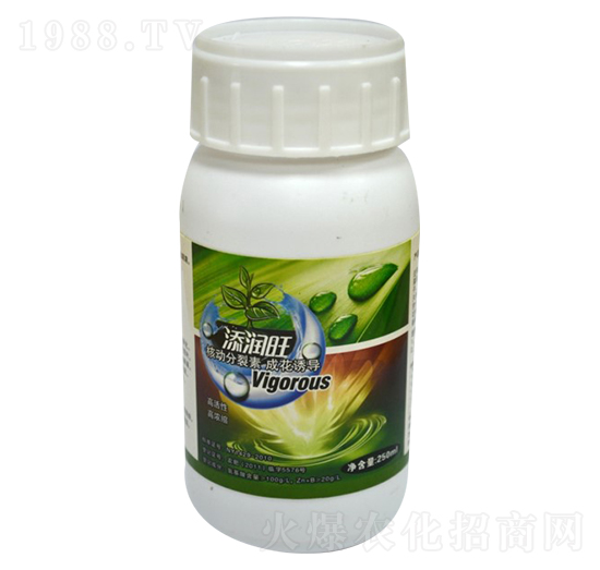 核動分裂素-申晶雅