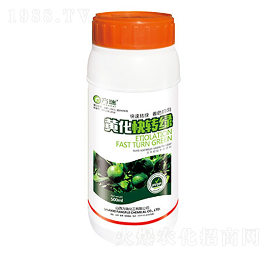 黃化快轉(zhuǎn)綠-方瑞