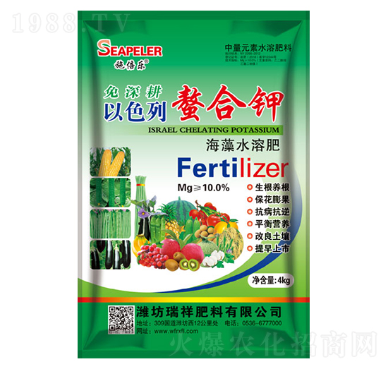 ��ɫ�������-�������