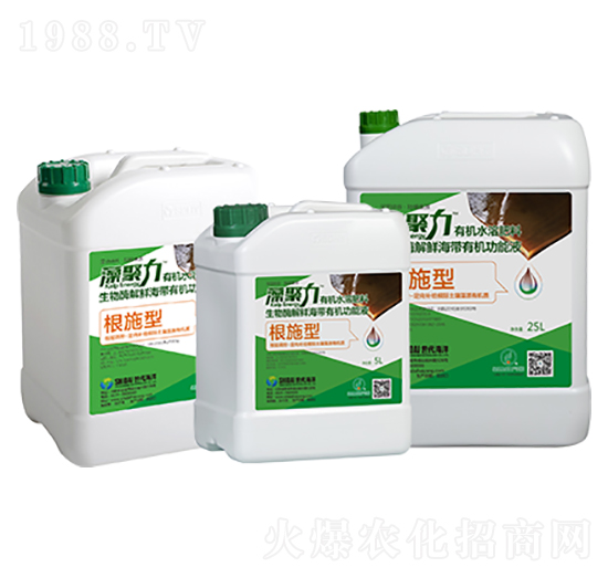 根施型復合微生物肥料-藻聚力-世代海洋