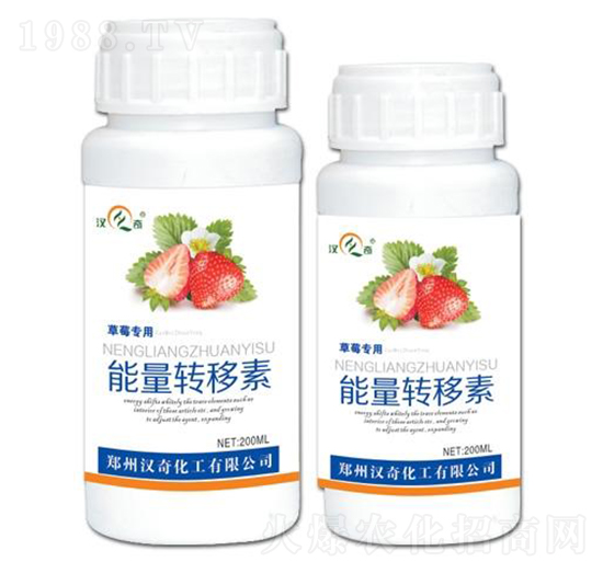 草莓專用能量轉移素-漢奇化工