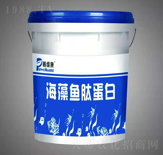 �����~�ĵ���-�վS��-�_(t��i)�_(d��)�ʘI(y��)