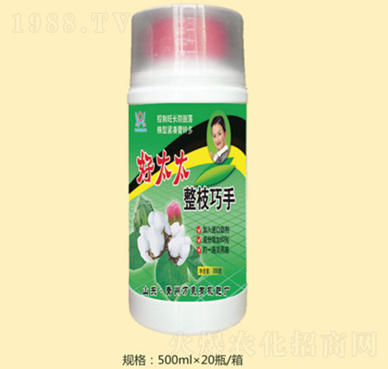 ��̫̫��֦����-�fȪ�r(n��ng)��