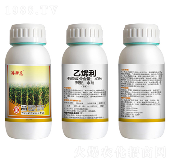 40%乙烯利-矮腳虎-全豐