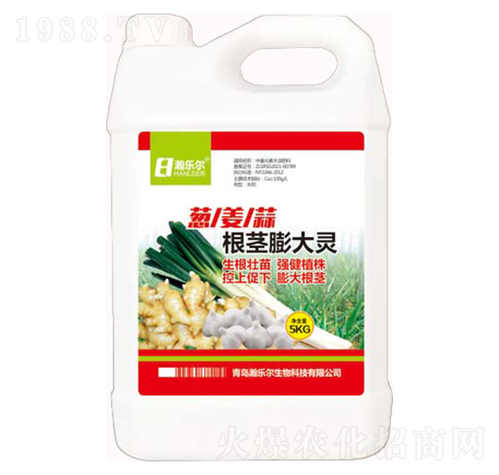 �[������o����`-嫘���