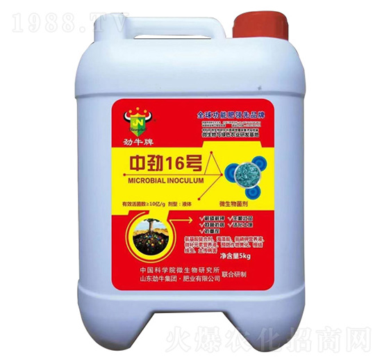 中勁16號(hào)微生物菌劑-勁牛