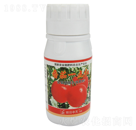 含氨基酸水溶肥料-番茄一點紅-中天肥業(yè)