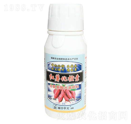 �t��������-����ʘI(y��)