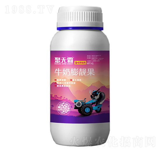 牛奶膨靚果-聚無霸