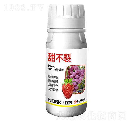 ����-������