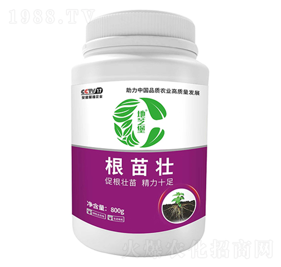 根苗壯-地芝堡-卡列尼