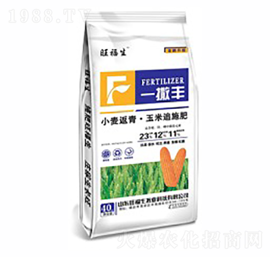 小麥返青·玉米追施肥3-12-11-一撒豐-旺福生