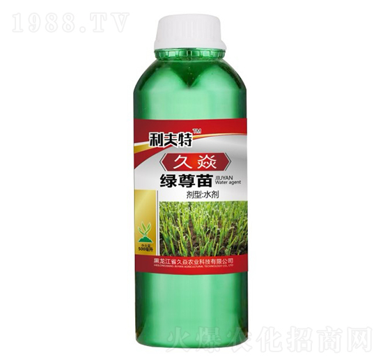 綠尊苗-久焱農業(yè)