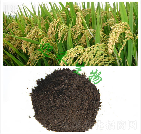 水稻有機(jī)肥-迎禾生物