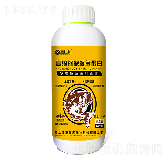 �ߝ�s��~����-���˺�