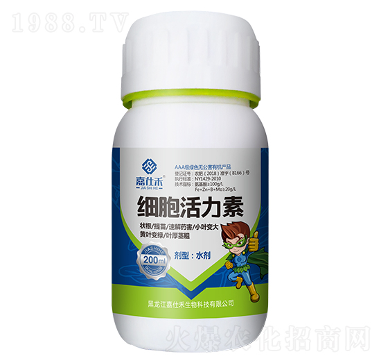 ��(x��)�������أ�ƿ��-���˺�