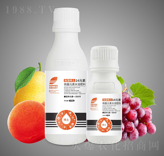 ����ϡ��14Ԫ��-Ӣ¶�����S