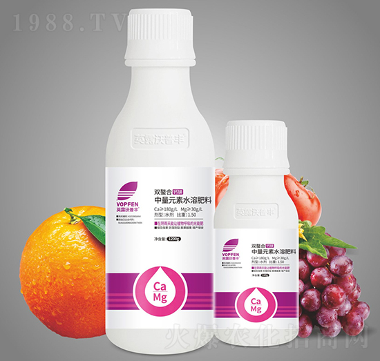 �p�����}�V-Ӣ¶�����S