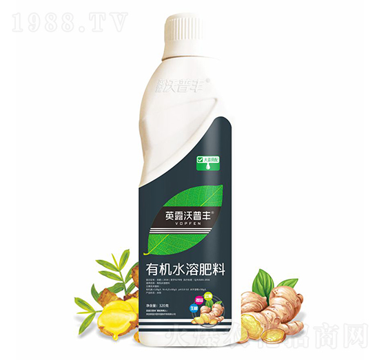 大姜需配有機(jī)水溶肥料-英露沃普豐