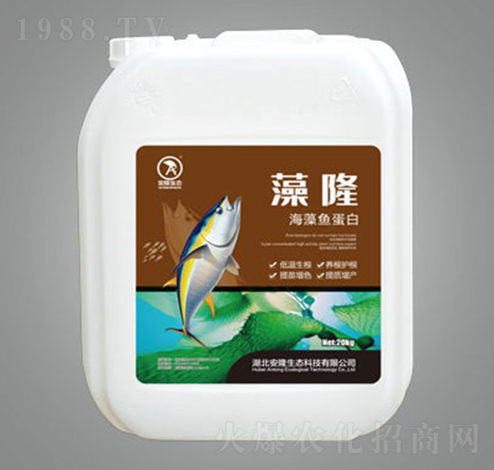 ��¡�����~����-��¡���B(t��i)