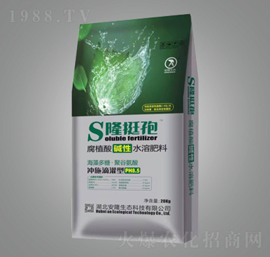 S¡ͦ��-��¡���B(t��i)