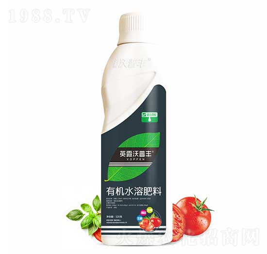 番茄需配有機水溶肥料-英露沃普豐