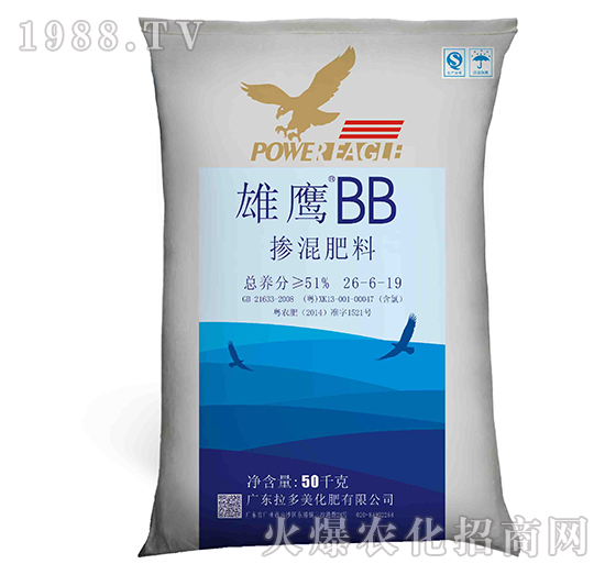�������-���iչ��BB��26-6-19-����������