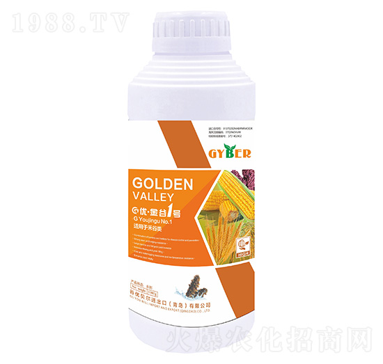 谷優(yōu)·金谷1號-谷優(yōu)貝爾