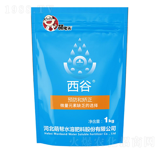 ����-�Ȏ�